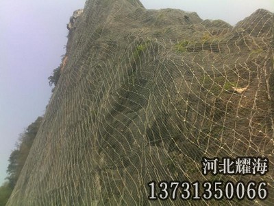 邊坡掛網